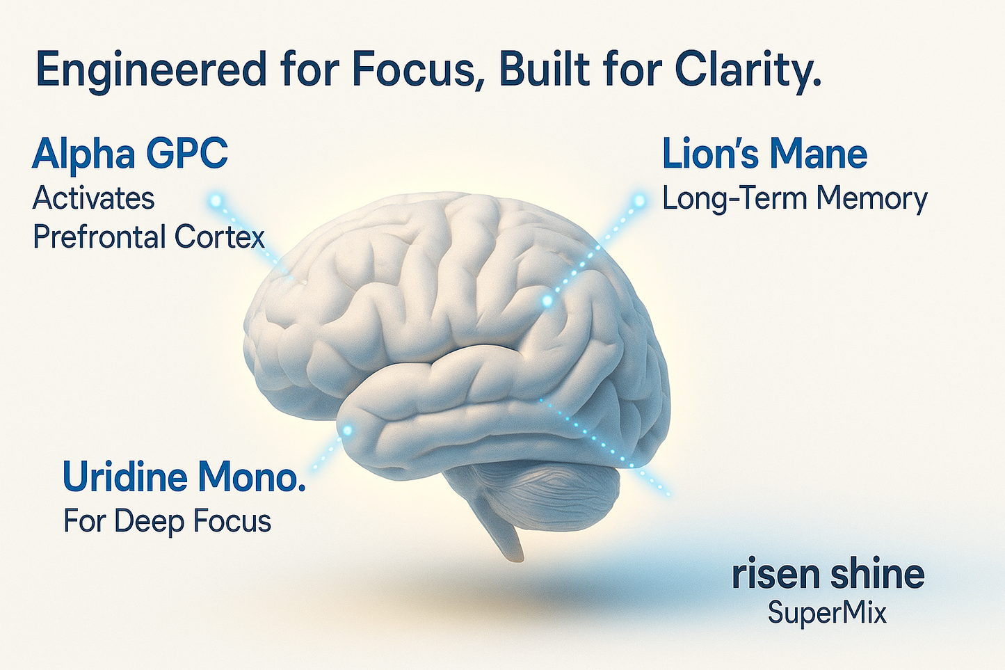 Super Latte Coffee Alternative